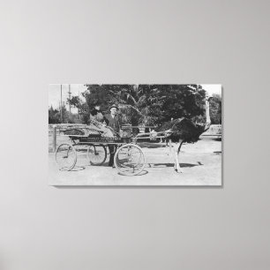 Toile Los Angeles, scène de chariot de ferme d'autruche