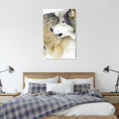 Toile Loup (Insitu(Chambre))