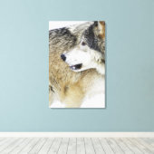 Toile Loup (Insitu (Plancher de Bois))