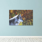 Toile Loup (Canis Lupus) 2 (Insitu (Plancher de Bois))