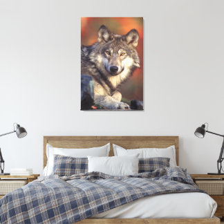 Toile Loup gris enveloppé