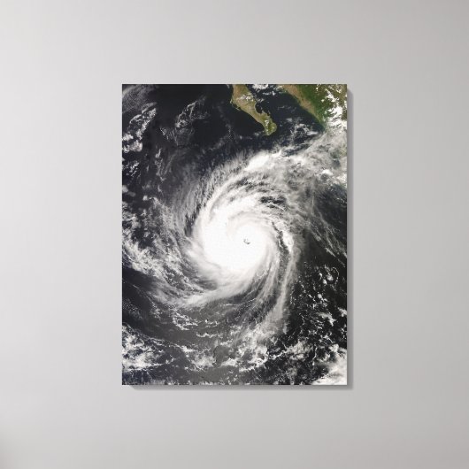 Toile L'ouragan Norbert au Mexique (Recto)