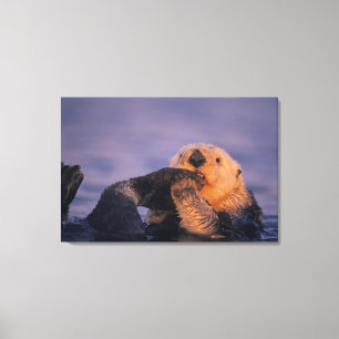 Toile Loutre de mer, Enhydra lutris