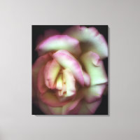 <Love is a Rose>par Nathan Griffith