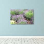 Toile Lovely Lavender (Insitu (Plancher de Bois))