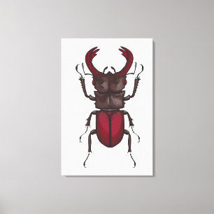 Toile Lucane cerf-volant