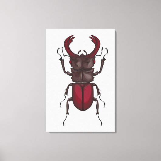 Toile Lucane cerf-volant (Recto)