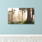 Toile Lumière du matin (2020) (Insitu (Plancher de Bois))