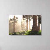 Toile Lumière du matin (2020) (Recto)