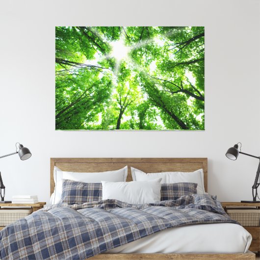 Toile Lumière du soleil à travers la canopée (Insitu(Chambre))