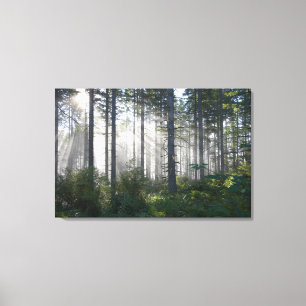 Toile Lumière du soleil traversant une forêt brumeuse