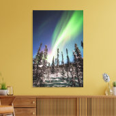 Toile Lumières du Nord | Parc national de Denali (Insitu(Salon))