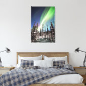 Toile Lumières du Nord | Parc national de Denali (Insitu(Chambre))