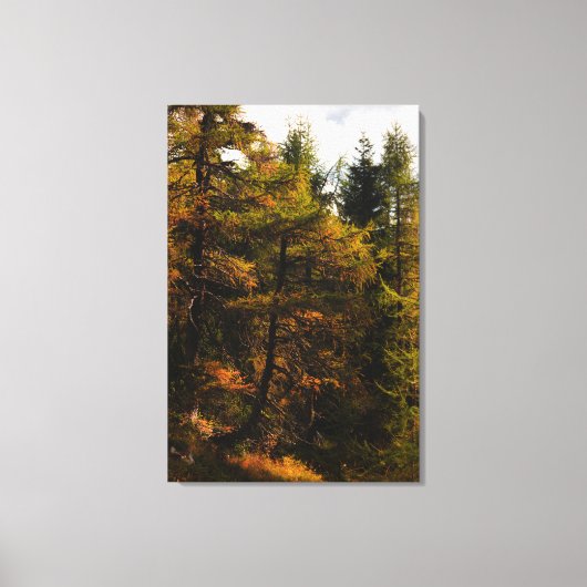 Toile Luminaire d'Europe dorée aux couleurs de l'automne (Recto)