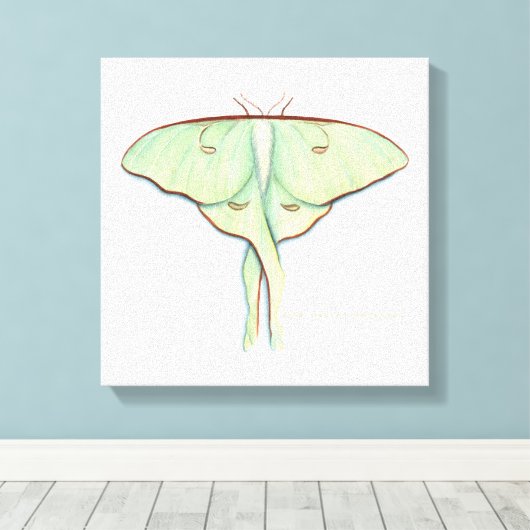 Toile Luna Moth (Insitu (Plancher de Bois))