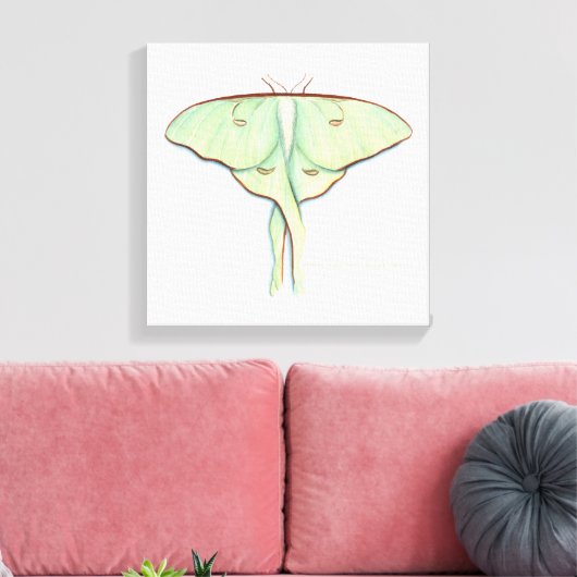 Toile Luna Moth (Insitu(Salon))
