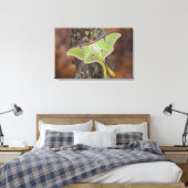 Toile Luna Moth en soie (Insitu(Chambre))