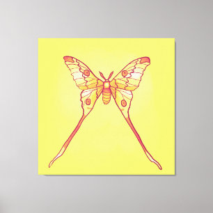 Toile Luna Moth Jaune Orange Cuisine Magique Insecte