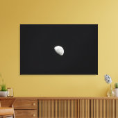 Toile Lune d'attente 2 (Insitu(Salon))