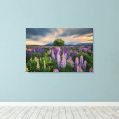 Toile Lupin Field en Nouvelle-Zélande (Insitu (Plancher de Bois))