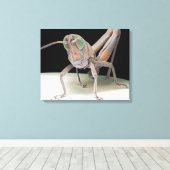 Toile lymphome de Grasshopper (Insitu (Plancher de Bois))