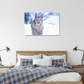 Toile Lynx dans la neige dans les contreforts (Insitu(Chambre))