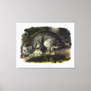 Toile Lynx du Canada (Lynx Canadensis) (Lynx du Canada)