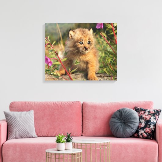 Toile Lynx Kitten, Canada, Alaska (Insitu(Salon))