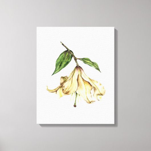 Toile Lys blancs (Recto)