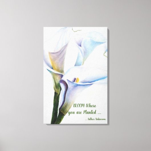 Toile Lys Calla blanc en aquarelles (Recto)
