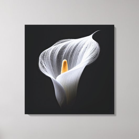 Toile Lys Calla Blanc Sur Noir (Recto)