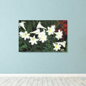 Toile Lys de Pâques (Lilium regale) (Insitu (Plancher de Bois))