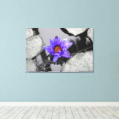 Toile Lys d'eau (Insitu (Plancher de Bois))