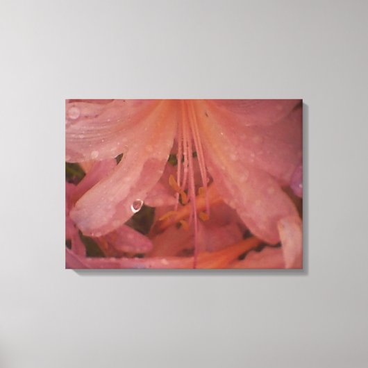 Toile Lys roses dans la pluie (Recto)