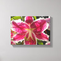 Lys roses fleurs tropicales roses rose