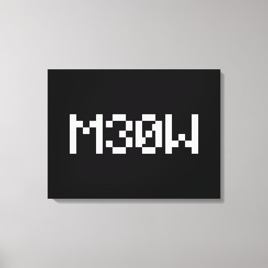 Toile M30W [Sons animaux de léopards] (Recto)