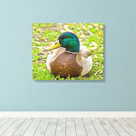 Toile M. Mallard le Canard (Insitu (Plancher de Bois))