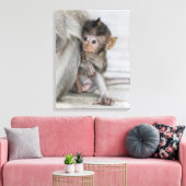 Toile Macaque singe (Insitu(Salon))