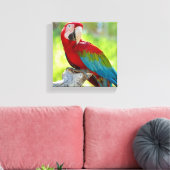 Toile Macaw assis sur la branche (Insitu(Salon))