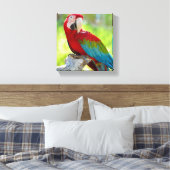 Toile Macaw assis sur la branche (Insitu(Chambre))