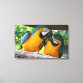 Toile Macaws (Recto)