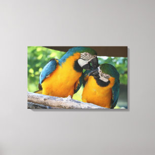 Toile Macaws