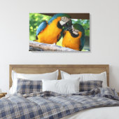 Toile Macaws (Insitu(Chambre))