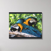 Toile Macaws (Recto)