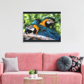 Toile Macaws (Insitu(Salon))