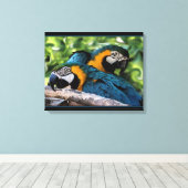 Toile Macaws (Insitu (Plancher de Bois))