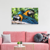 Toile Macaws (Insitu(Salon))