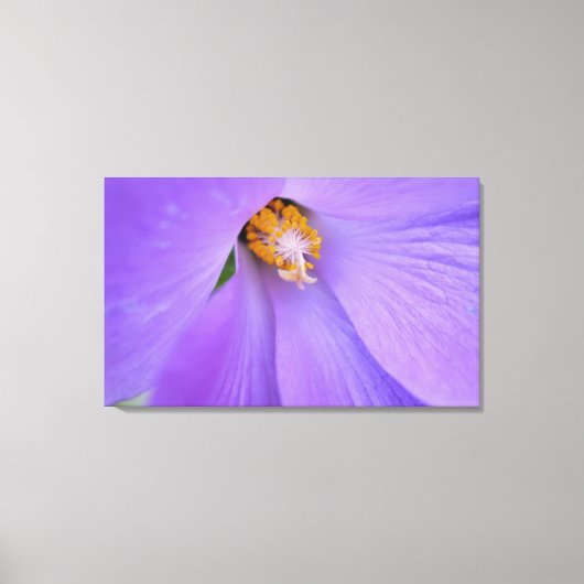 Toile Macro à fleurs violet fermer la photographie art m (Recto)