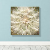 Toile Macro de la morue à graines de Milkweed (Insitu (Plancher de Bois))