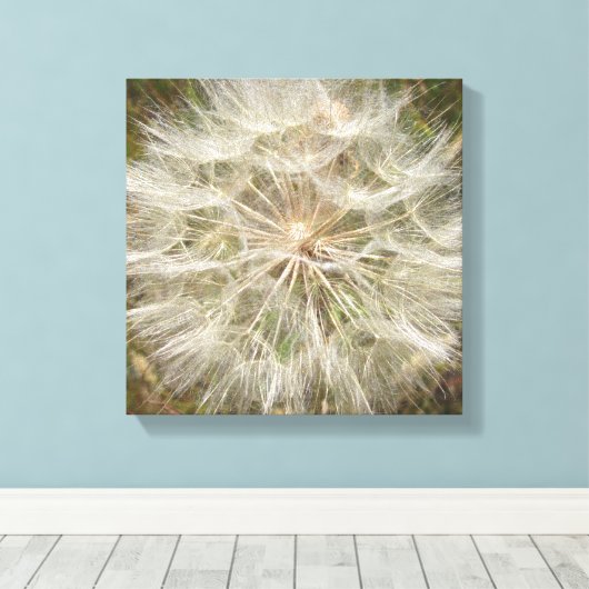 Toile Macro de la morue à graines de Milkweed (Insitu (Plancher de Bois))